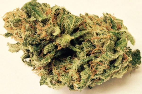 Buy Lemon Kush Weed Strain Online