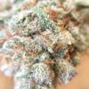 Buy Blackberry Kush Marijuana Strain Europe